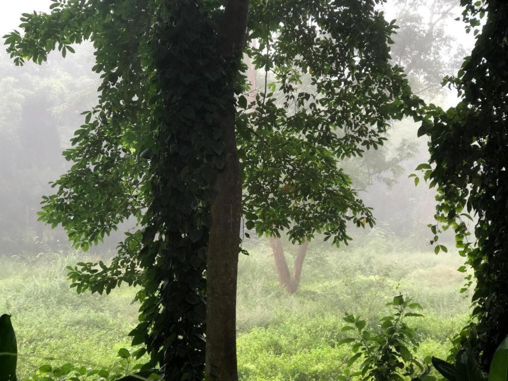 Khun Nai Tern Sai Hotel (Adults Only) Pai Zewnętrze zdjęcie