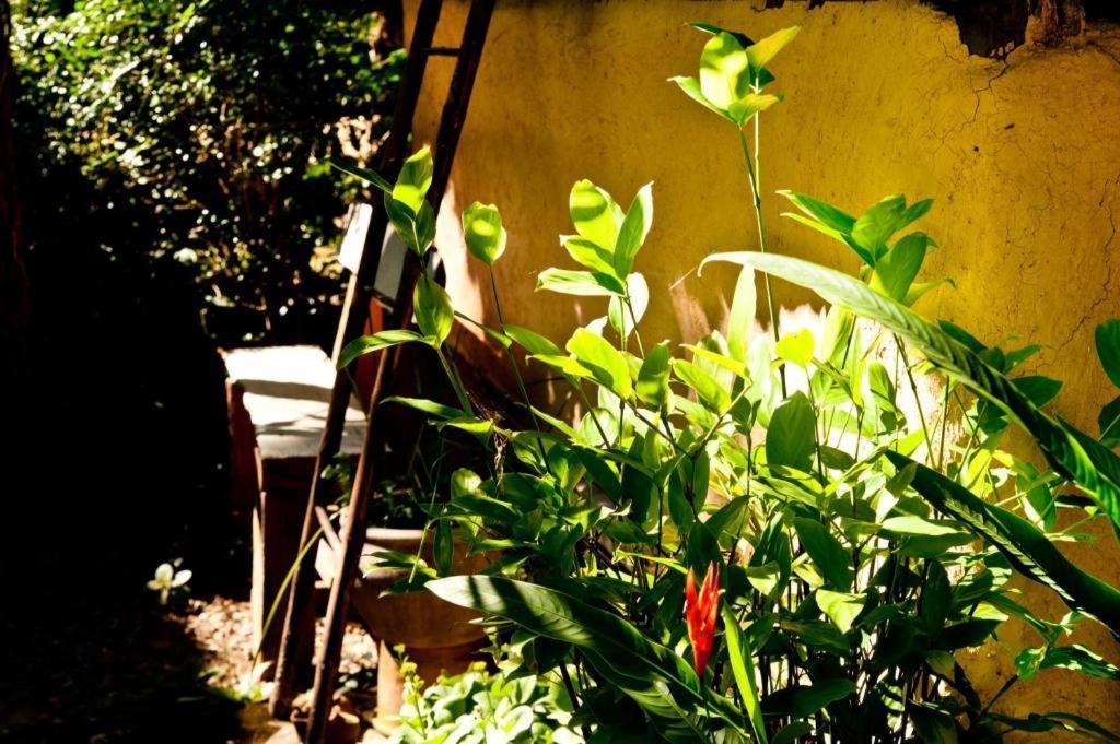 Khun Nai Tern Sai Hotel (Adults Only) Pai Zewnętrze zdjęcie