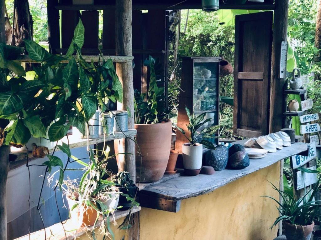 Khun Nai Tern Sai Hotel (Adults Only) Pai Zewnętrze zdjęcie